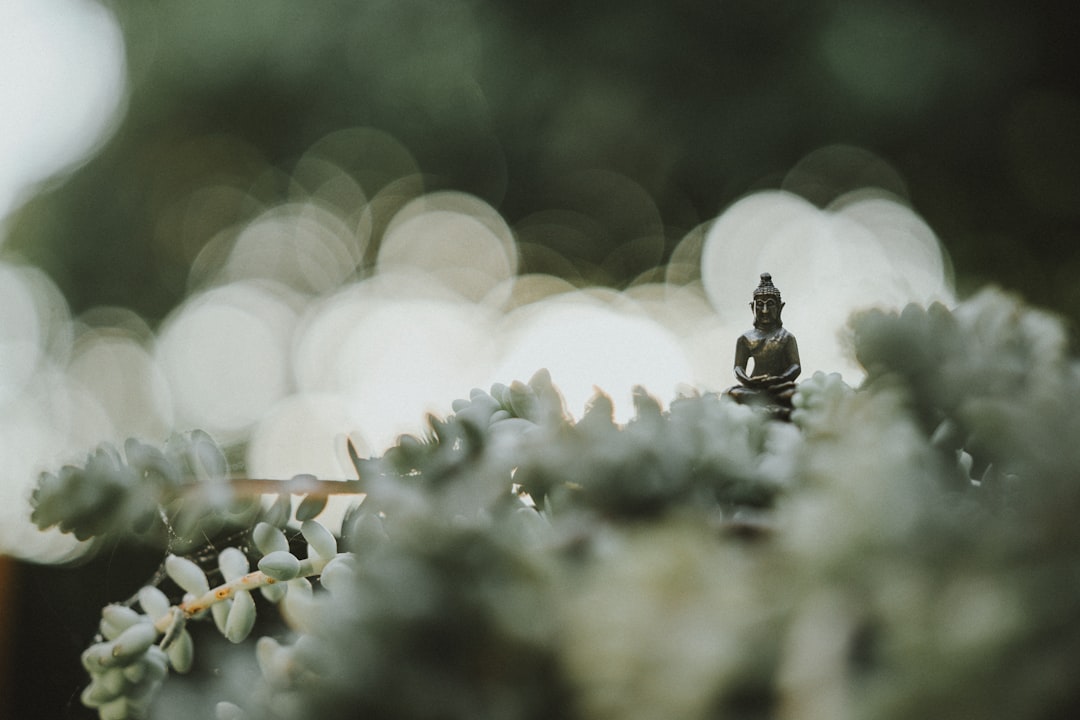 The 5-Minute Mindfulness Routine for Overwhelmed Working Moms