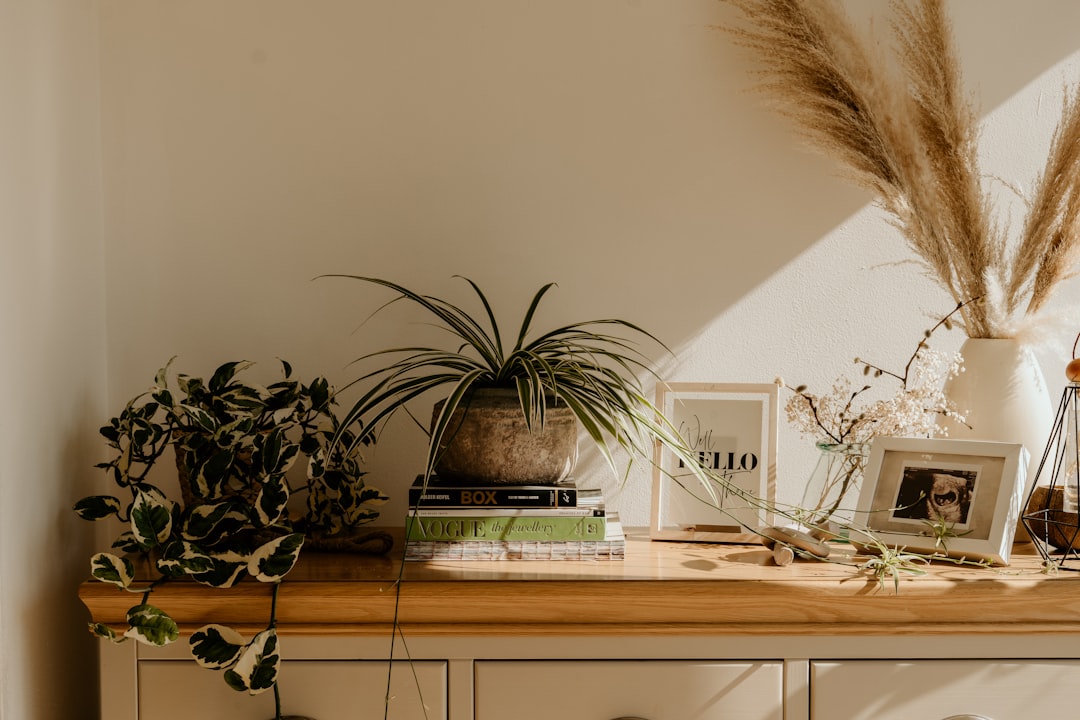 5 Quick Home Organization Projects for Busy Moms
